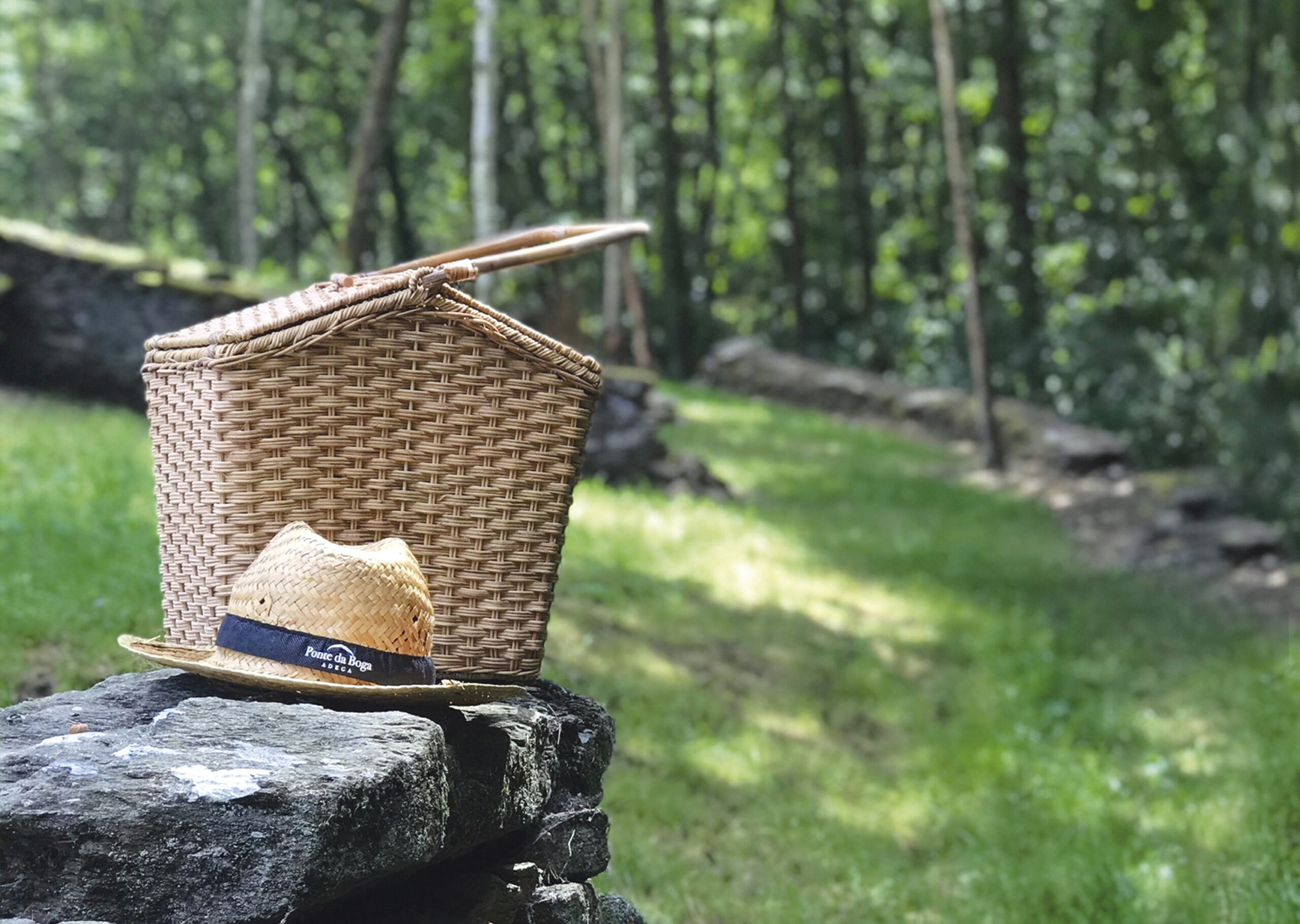 Picnic Rio Edo