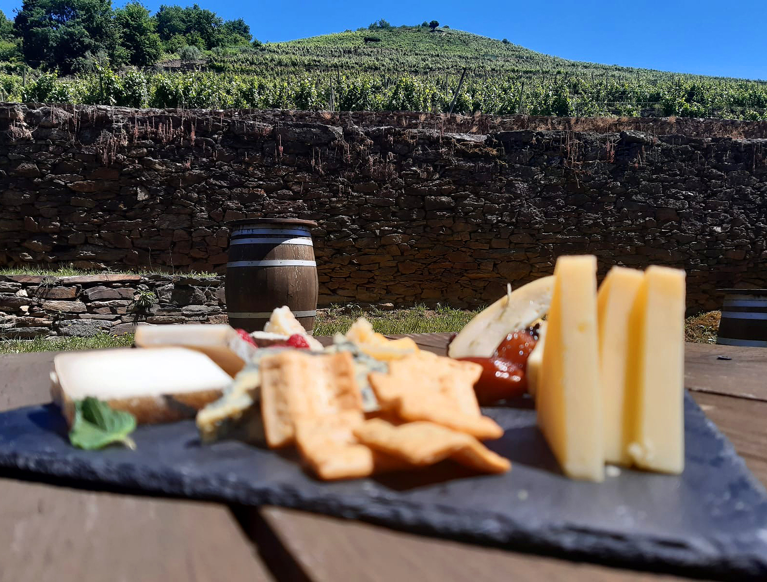 Cheese&Wine
