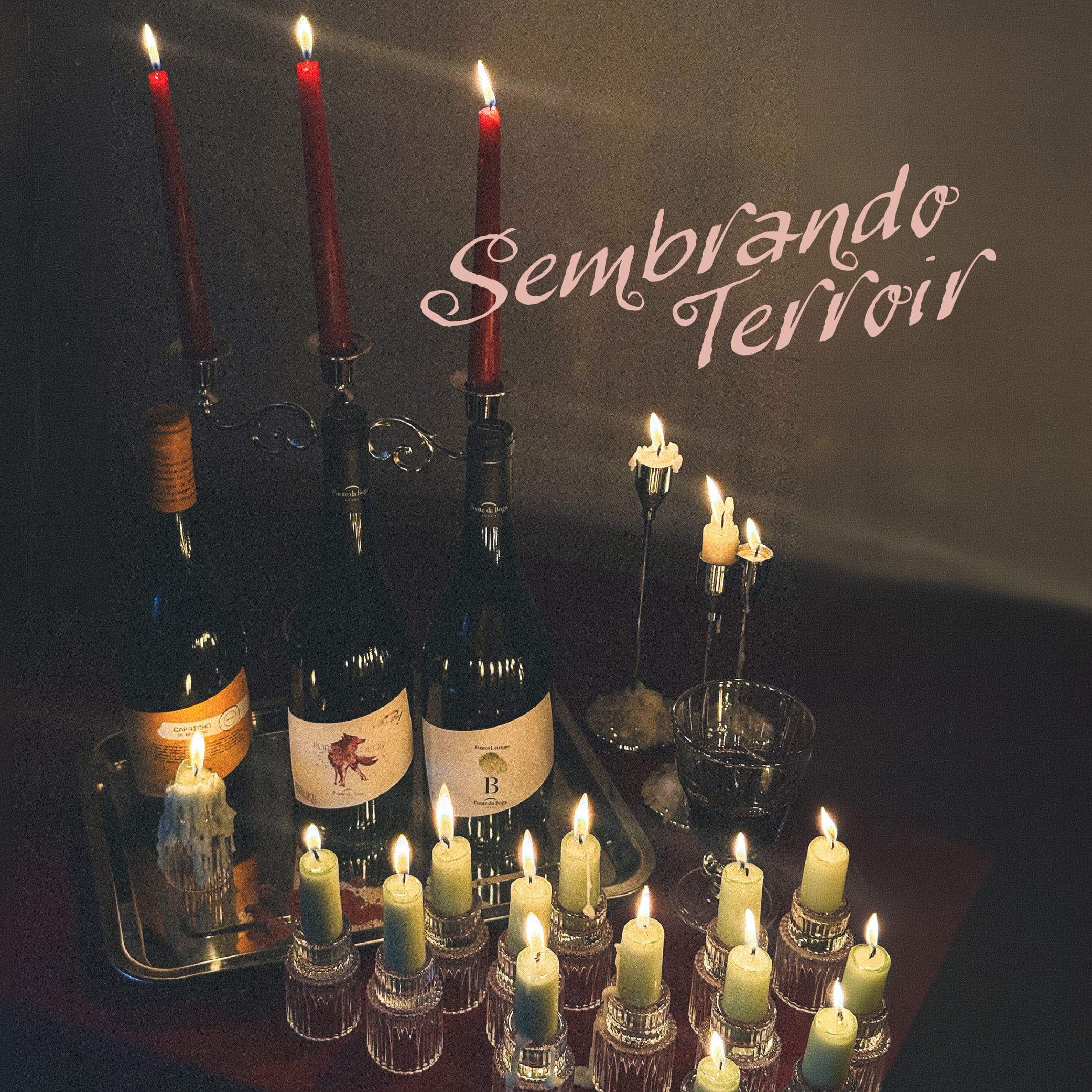 PACK SEMBRANDO TERROIR